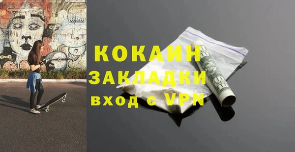 ПСИЛОЦИБИНОВЫЕ ГРИБЫ Богданович