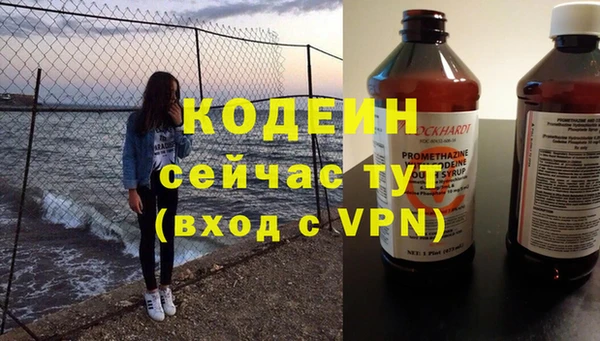 ПСИЛОЦИБИНОВЫЕ ГРИБЫ Богданович