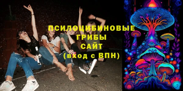ПСИЛОЦИБИНОВЫЕ ГРИБЫ Богданович
