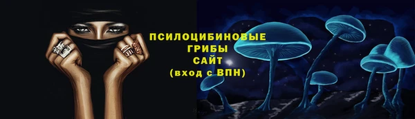 первитин Богородицк
