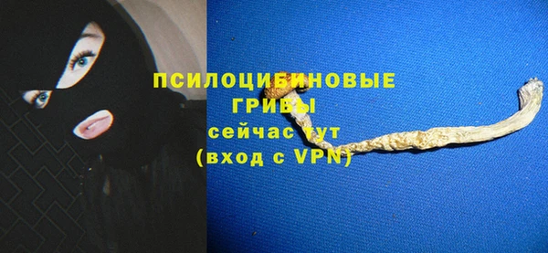 первитин Богородицк