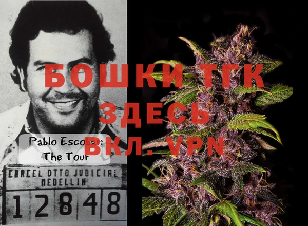 ПСИЛОЦИБИНОВЫЕ ГРИБЫ Богданович