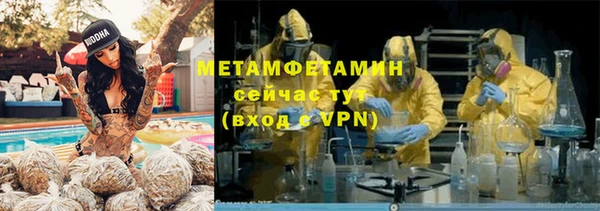 ПСИЛОЦИБИНОВЫЕ ГРИБЫ Богданович