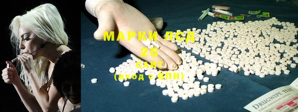 ПСИЛОЦИБИНОВЫЕ ГРИБЫ Богданович