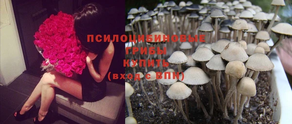 первитин Богородицк