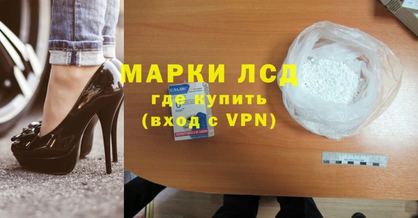 ПСИЛОЦИБИНОВЫЕ ГРИБЫ Богданович