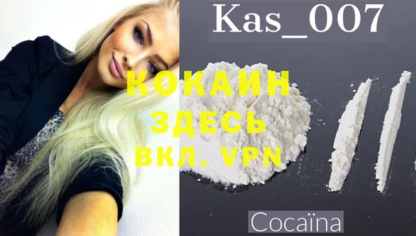 ПСИЛОЦИБИНОВЫЕ ГРИБЫ Богданович