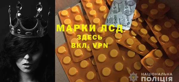 ПСИЛОЦИБИНОВЫЕ ГРИБЫ Богданович