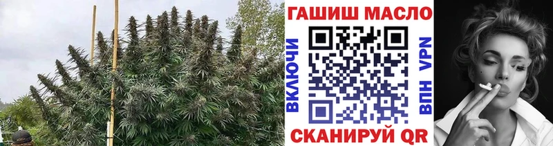 МЕГА зеркало  Ставрополь  Дистиллят ТГК вейп с тгк  купить наркотик 